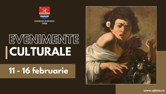 Oferta culturală a Consiliului Județean pentru perioada 11 – 16 februarie 