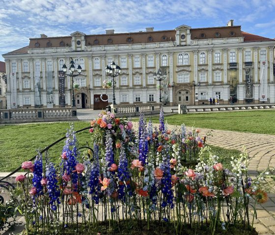 Oferta culturală a Consiliului Județean pentru perioada 15-19 aprilie